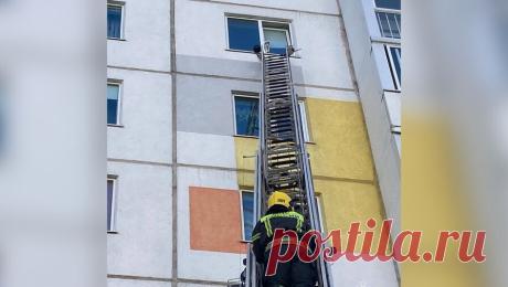 Ветеринар объяснил, почему домашние кошки лезут в окно во время проветривания. Кошки чаще застревали в оконных рамах 15-20 лет назад, когда россияне начали переходить на пластиковые окна, рассказал "Газете.Ru" ветеринарный врач высшей категории Михаил Шеляков. Так он прокомментировал информацию СМИ об ...