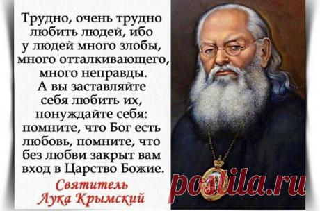 Эти цитаты помогают мне жить, быть счастливой и держать свой характер в узде. Мудрости Луки Крымского | Ольга Многогранник. | Яндекс Дзен