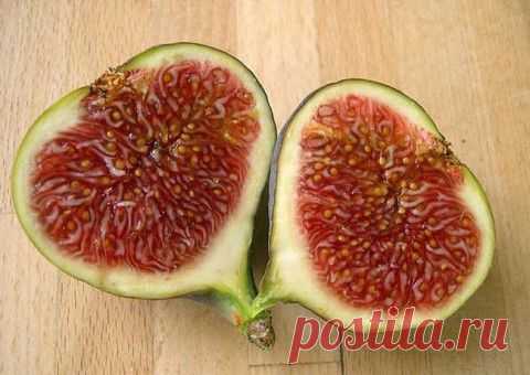 Инжир - лечит все заболевания старости