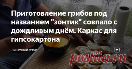 Приготовление грибов под названием "зонтик" совпало с дождливым днём. Каркас для гипсокартона
