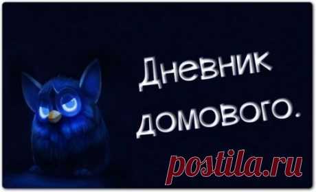 Дневник домового. 6 часть