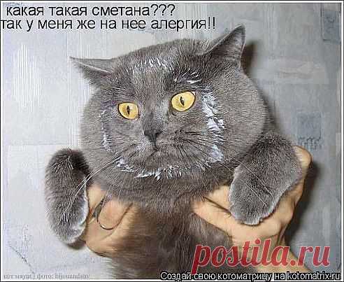 Алиби у меня!!!Умойтесь!!!