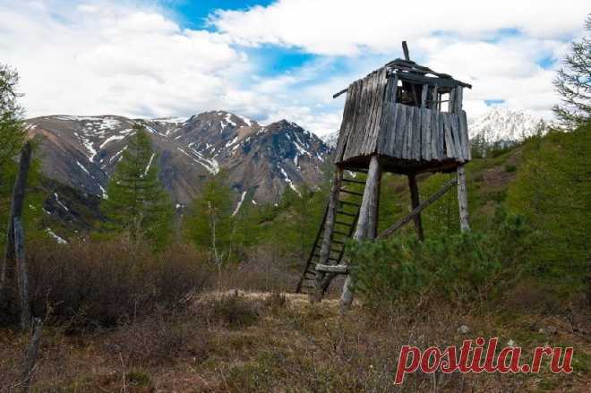Автомобильный тур по арктическим зимникам появился в Якутии | Туризм