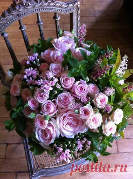 pink roses