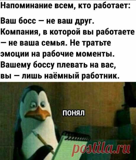совет дня