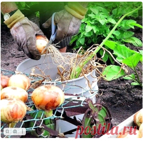 ЭТИ СРЕДСТВА ОБЯЗАТЕЛЬНО ПРИГОДЯТСЯ!