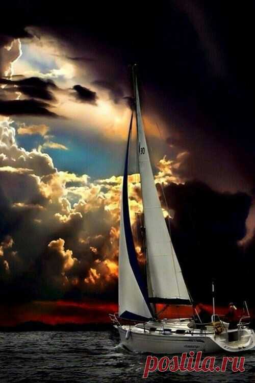 tumblr_op8e6jPRyV1v0qmf6o1_500.jpg (500×750)
