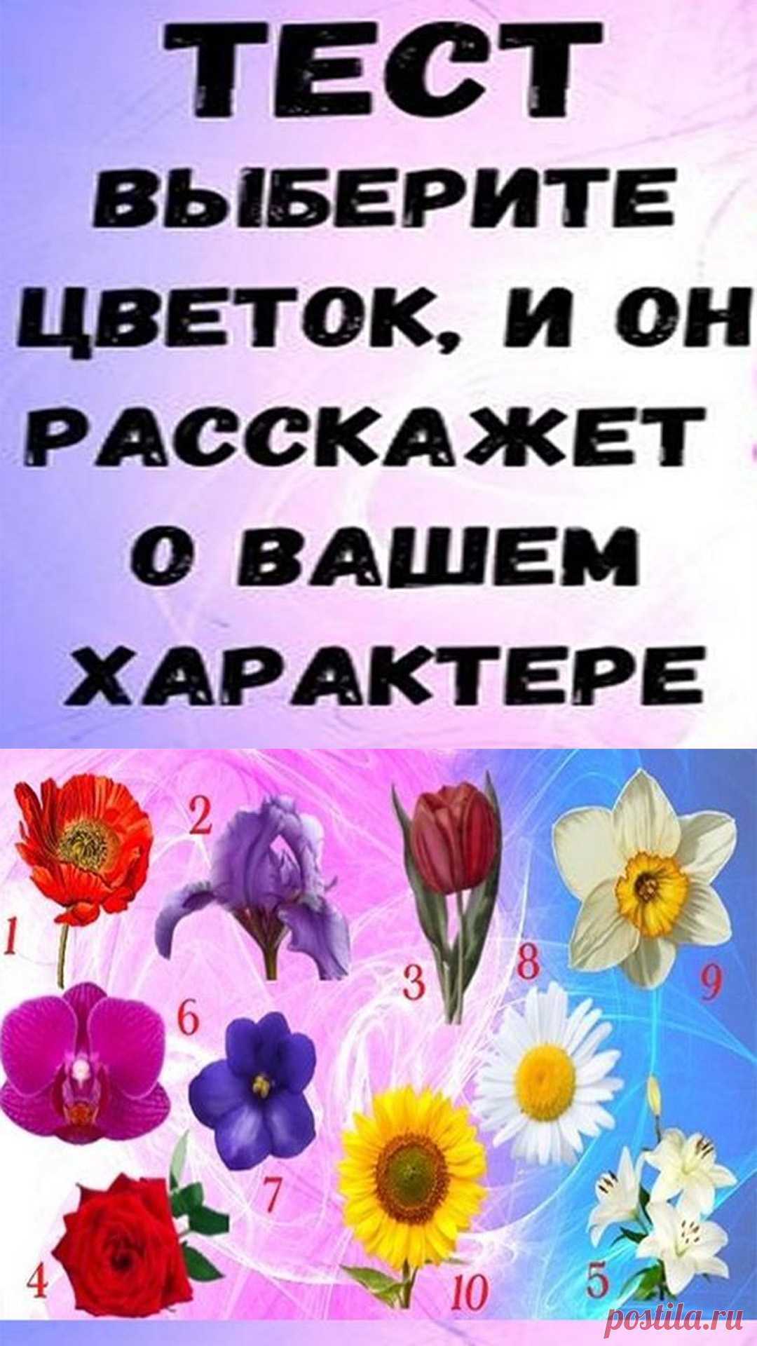 Выберите цветок, который вам больше всего нравится, затем прочитайте краткое описание. Вы удивитесь, как много он может рассказать о вас.