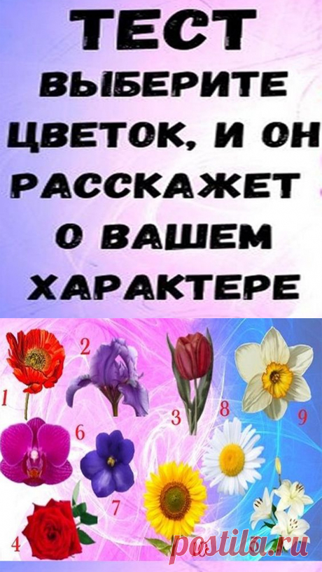 Выберите цветок, который вам больше всего нравится, затем прочитайте краткое описание. Вы удивитесь, как много он может рассказать о вас.