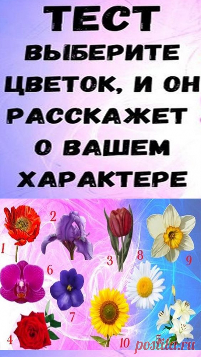 Выберите цветок, который вам больше всего нравится, затем прочитайте краткое описание. Вы удивитесь, как много он может рассказать о вас.
