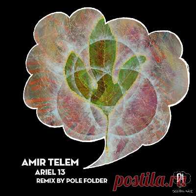 Amir Telem - Ariel 13