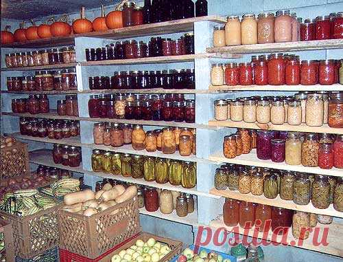 Grandma's Root Cellar - Remember that? - The Homesteading Hub