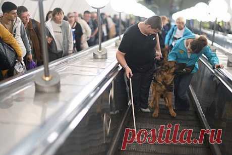 Названы варианты расходования полученных от повышения НДФЛ средств. Полученные в результате введения прогрессивного налога средства могут пойти на финансирование социально значимых проектов. Такие варианты расходования денег назвал зампредседателя комитета Госдумы по экономической политике Артем Кирьянов. В частности, средства могут потратить на капремонт школ или поддержку семей.