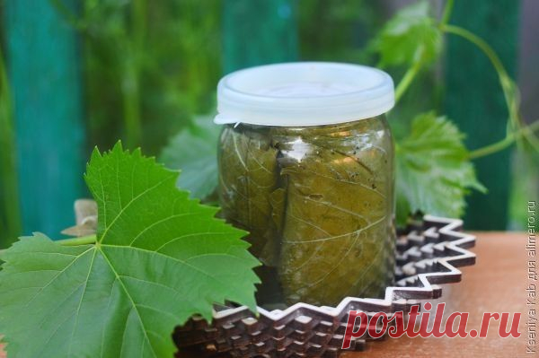 Маринованные виноградные листья