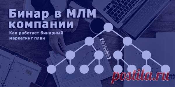 Для бинара характерен стремительный рост, что позволяет максимально быстро вырастить МЛМ структуру. Рассмотрим этот тип маркетинг-плана детальнее.