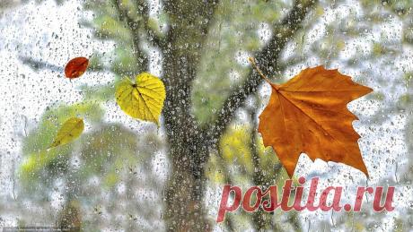 Скачать обои ID 2357047 - Desktop Nexus природа