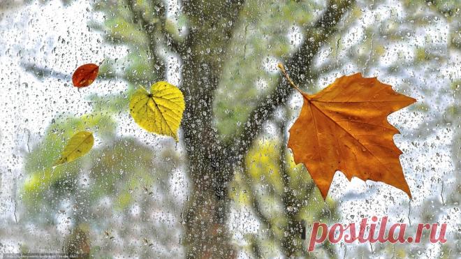 Скачать обои ID 2357047 - Desktop Nexus природа