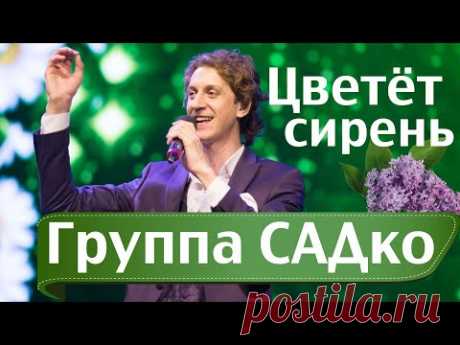 ЦВЕТЁТ СИРЕНЬ - АБАЛДЕННАЯ песня от ГРУППЫ САДко !