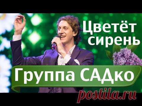 ЦВЕТЁТ СИРЕНЬ - АБАЛДЕННАЯ песня от ГРУППЫ САДко !