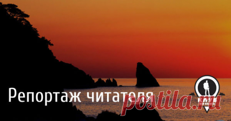 Зима в этом году выдалась бесснежной. Голый и безликий лес совсем не привлекает глаз. Серые деревья машут ветками на ветру, пожухлая трава и кустарник стелются по промозглой земле. Пейзаж тот ещё - холод, неприветливость, унылость.