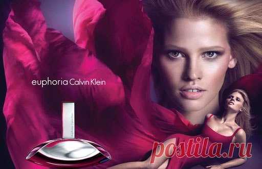 Euphoria Collection № 12 Euphoria Calvin Klein — Парфюмерия Индиго. Выбери свой аромат