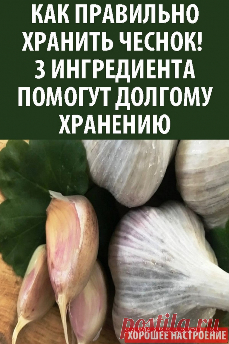 Как правильно хранить чеснок! 3 ингредиента помогут долгому хранению