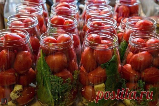 МАРИНОВАННЫЕ ПОМИДОРЫ НА ЗИМУ 
Дорогие мои! Хочу предложить вам свой рецепт засолки помидор на зиму. Этот рецепт дала мне моя свекровь. С детства любила соленые помидоры, которые закрывала моя мамочка, но попробовав помидоры в гостях у свекрови...про наш рецепт просто забыла. Если вдруг повторюсь и такой рецепт уже есть на сайте, заранее прошу прощения. Просто не хватило времени пересмотреть все выставленные рецепты.
Ингредиенты и способ приготовления смотрите на нашем сайте http://goldenrecip