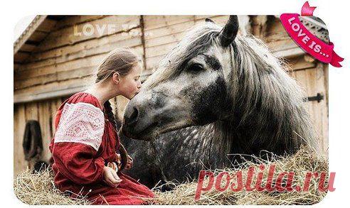 Одноклассники