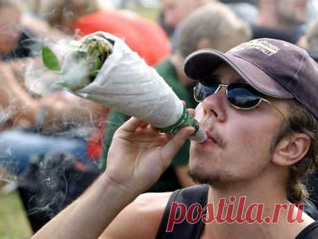 Вести.Ru: Власти США за месяц заработали на марихуане больше 2 миллионов