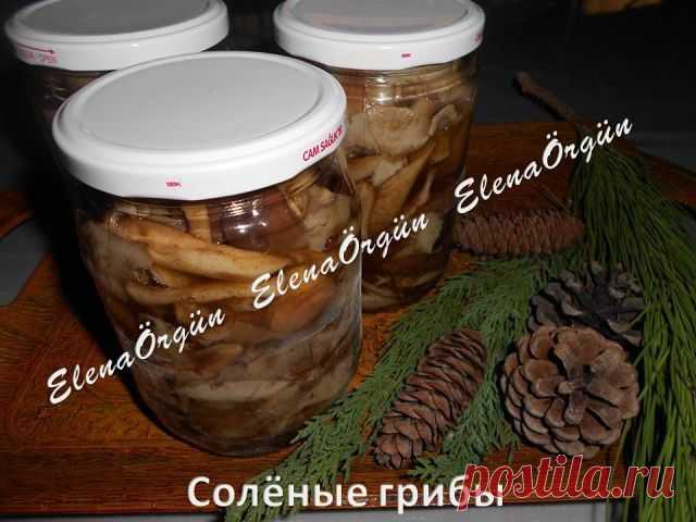 Соленые грибы
