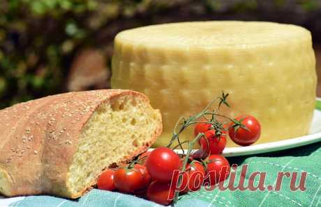 Домашний французский сыр: вкусно, просто и дешево — Мой милый дом