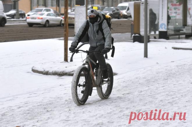 Вперёд, педали! Велосипедисты в столице и зимой не бросают своё увлечение. Зима — не повод отправлять любимый велосипед в «спячку». Для тех, кто готов кататься в любое время года, в городе есть всё необходимое: и трассы, и прокаты, и специалисты, которые помогут подготовить «железного коня» к зимнему сезону.