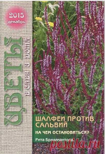 Мир журналов