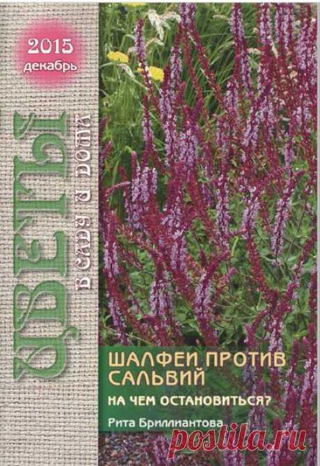 Мир журналов
