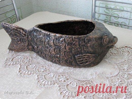 Золотая рыбка.