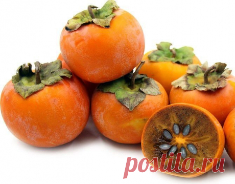 Caqui Quioto Chocolate - Muda Enxertada Nome científico: Diosyrus Kaki O Caqui Chocolate não possui nenhuma adstringência em sua polpa, quando as plantas femininas ou hermafroditas são polinizadas, formam-se as sementes, que liberam substâncias conhecidas como fenóis, que insolubilizam o tanino, removendo a adstringência da polpa e consequentemente causando oxidação, o que torna a polpa escura e dá o nome de chocolate a esta variedade. Muda enxertada com aproximadamente 40...