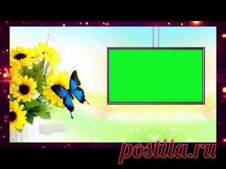 Best green screen frame video no copyright | mix back ground with technical guru | best back grounds