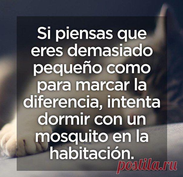 Если ты считаешь, что ты слишком незначителен, чтобы что-то изменить, попробуй поспать с комаром в комнате / Изучаем Испанский