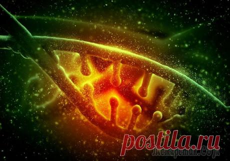 Семь научных теорий о происхождении жизни. И пять ненаучных версий Жизнь на Земле появилась более 3,5 млрд лет назад – точнее обозначить момент трудно хотя бы потому, что нелегко провести грань между «почти живым» и «живым по-настоящему». Однако можно сказать точно, ...