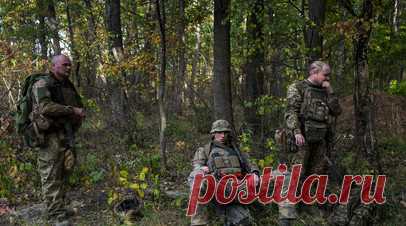 Военный эксперт Киселёв: ВСУ взяли в заложники пять наёмников и просили выкуп. Украинские солдаты 92-й бригады взяли в заложники пять иностранных наёмников, которые отказались воевать. Требуют выкуп €20 тыс. за каждого. Об этом сообщил военный эксперт и полковник запаса ЛНР Виталий Киселёв. Читать далее