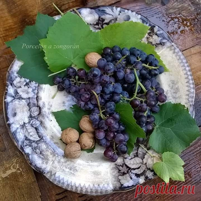 Instagram post by Gyetvai Judit
