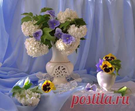 Мой Мир@Mail.Ru