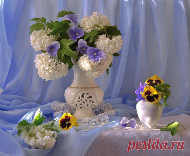 Мой Мир@Mail.Ru