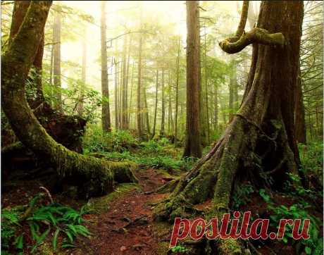 Сборник русских и советских песен (инструментал) 01