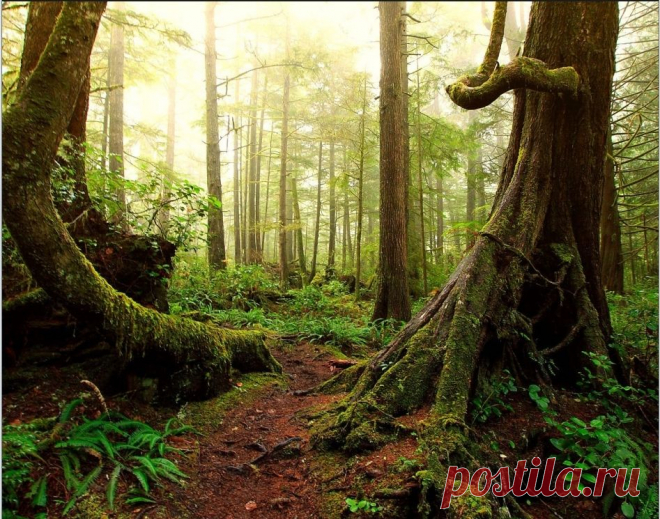 Сборник русских и советских песен (инструментал) 01