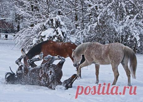 Интересные новости