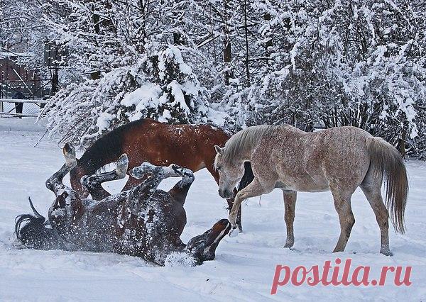 Интересные новости