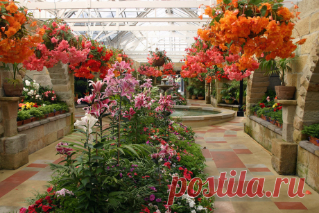 Королевский ботанический сад Тасмании (Royal Tasmanian Botanical Gardens)Хобарт,Австралия