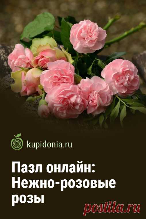 Пазл онлайн: Нежно-розовые розы. Красивый пазл онлайн с нежными розовыми розами из серии «Садовые цветы». Собирайте пазлы на сайте! Это отличная тренировка для мозга.
