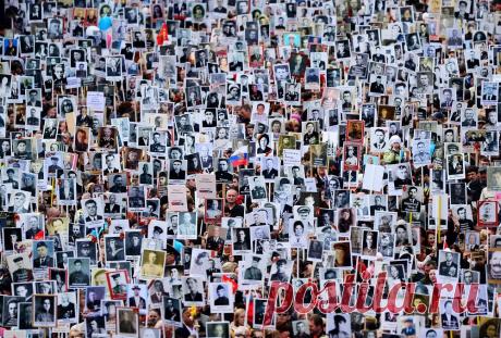 Акция &quot;Бессмертный полк&quot; во Владивостоке  © Юрий Смитюк/ТАСС  | ТАСС: Общество - Живая память: акция &quot;Бессмертный полк&quot; в городах мира